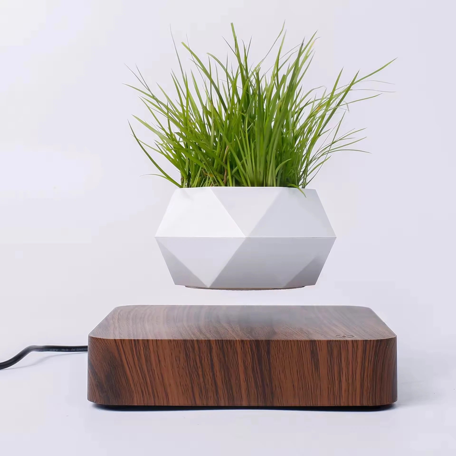 floating plant pot Magnetic Levitating / Floating Plant Pot – Trininecessities.com