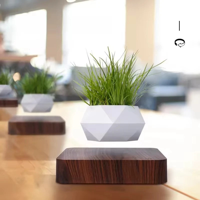 Magnetic Levitating / Floating Plant Pot