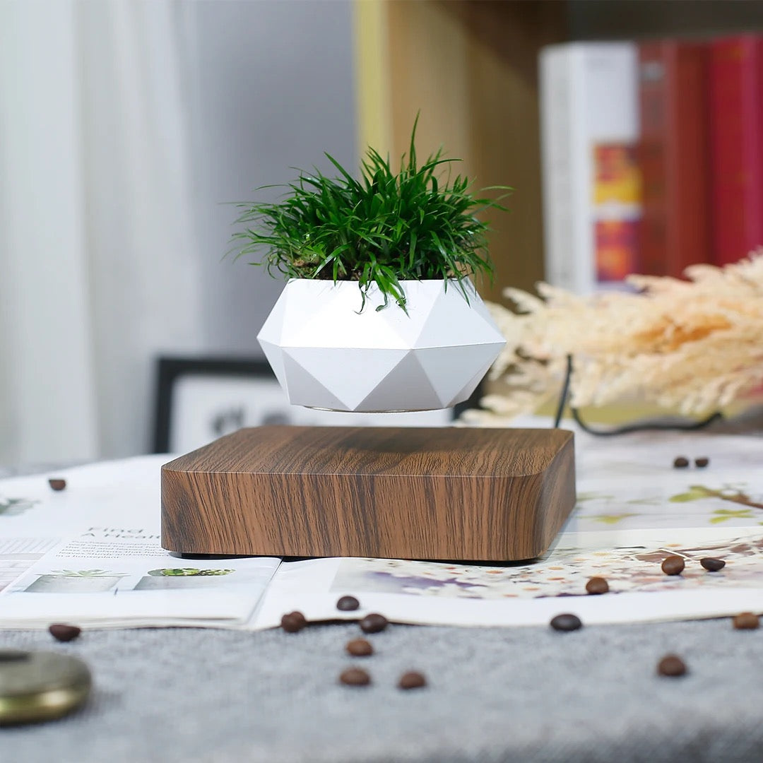 Magnetic Levitating / Floating Plant Pot