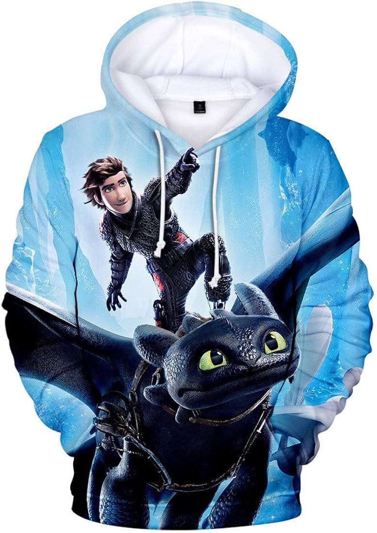 HTTYD - How to Train Your Dragon Hoodie Design