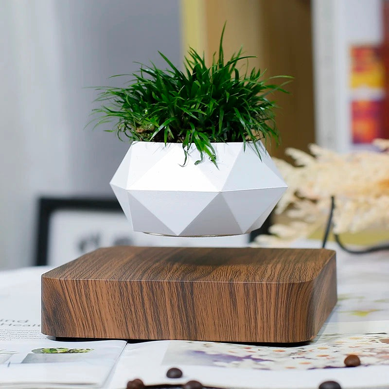 Magnetic Levitating / Floating Plant Pot