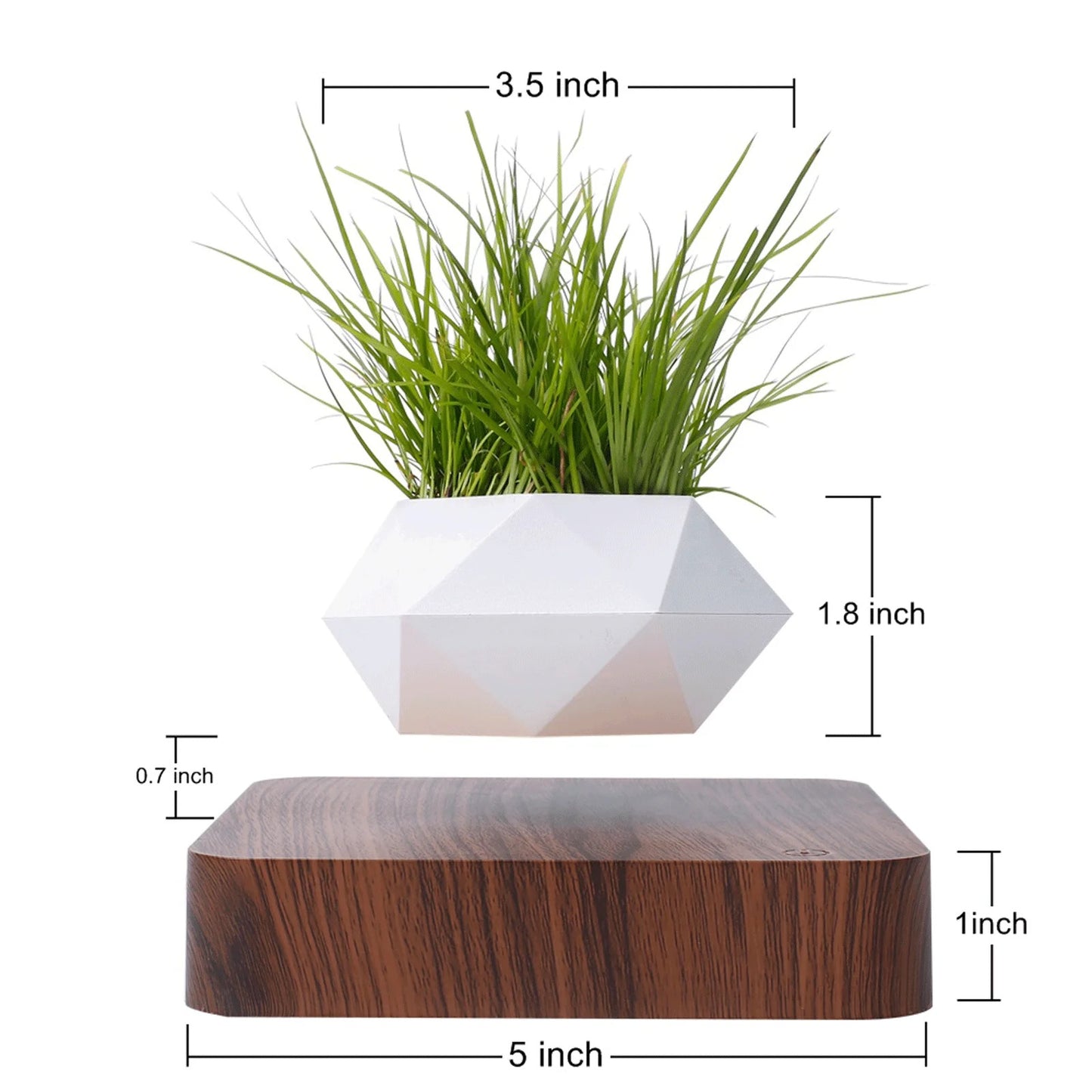 Magnetic Levitating / Floating Plant Pot