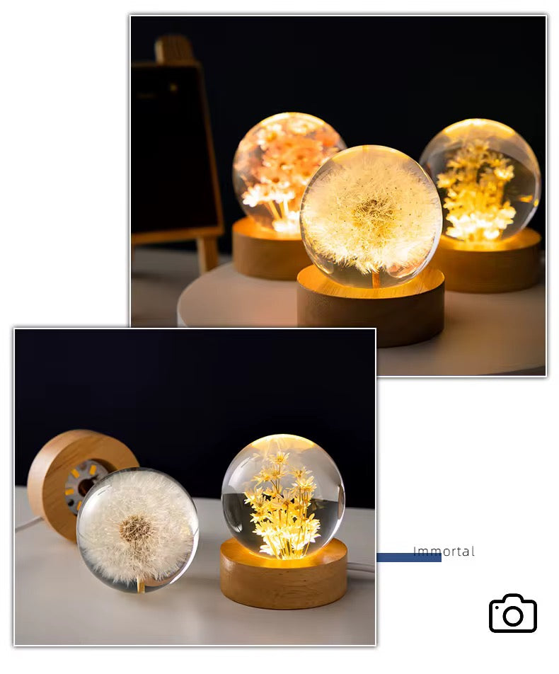 8cm Eternal / Immortal Flower Resin Sphere Lamp with USB LED Wooden Base