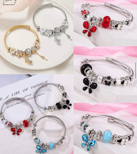 Stainless Steel Charm Bracelets (Pandora Inspired)