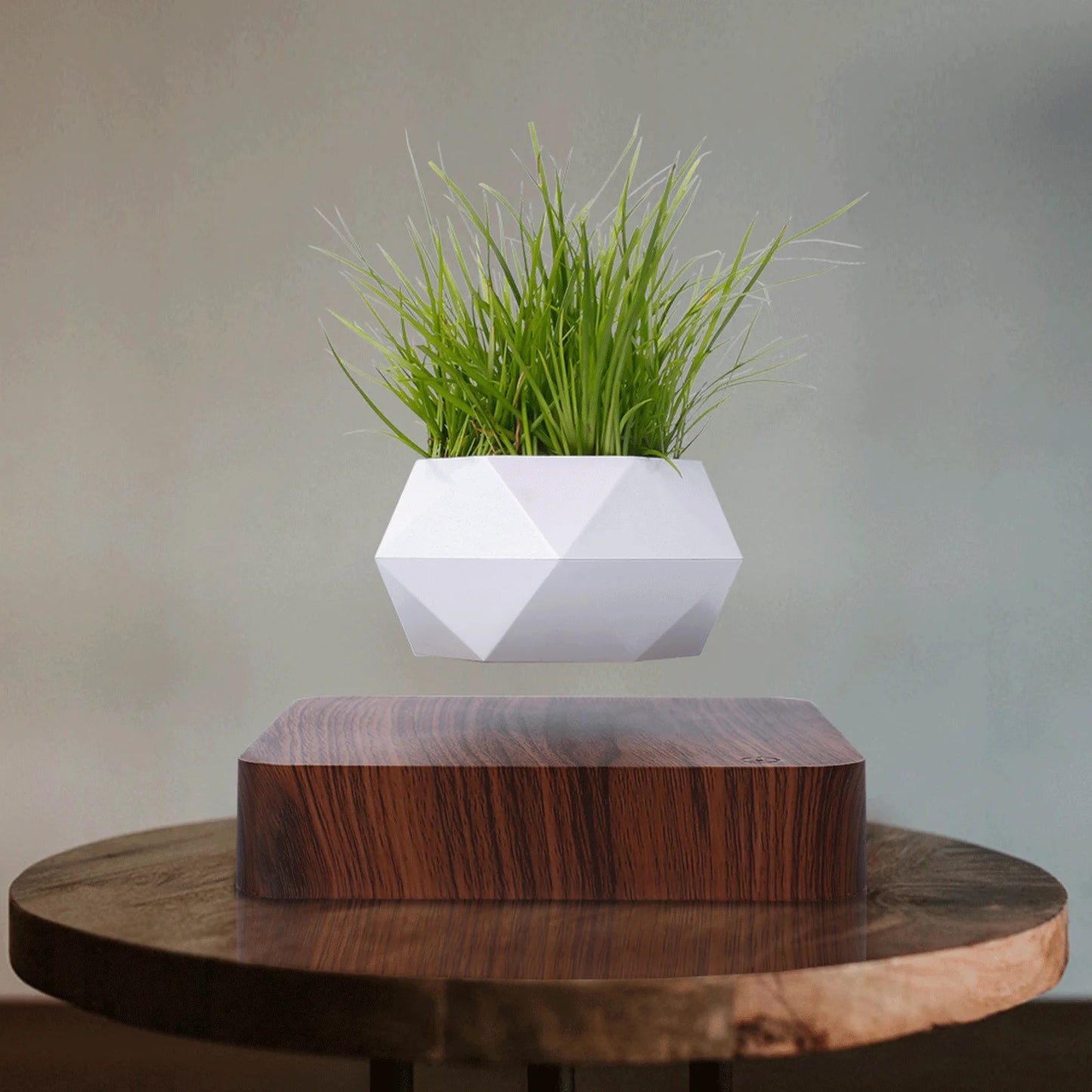 Magnetic Levitating / Floating Plant Pot