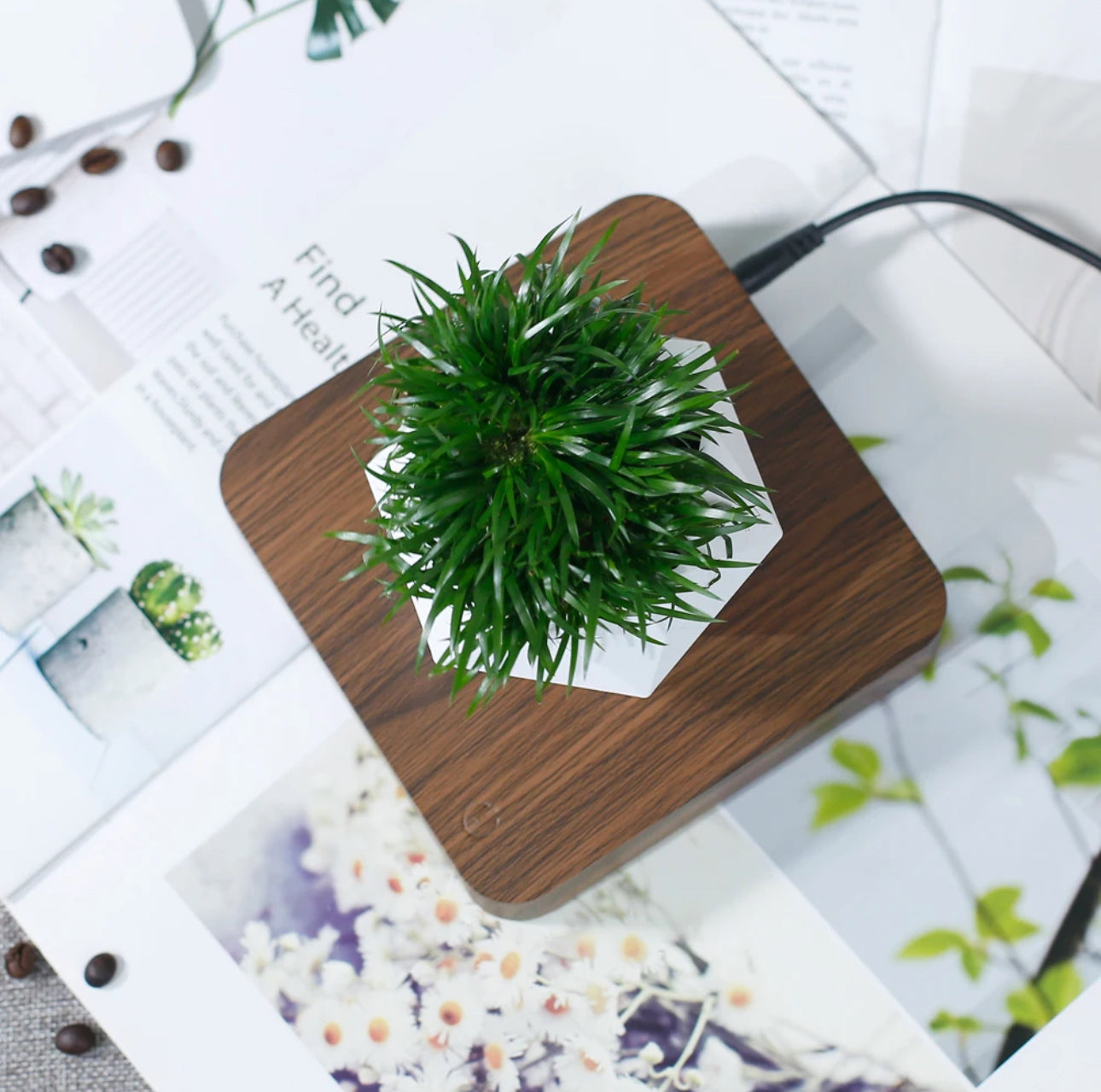 Magnetic Levitating / Floating Plant Pot