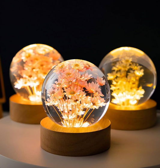 8cm Eternal Flower Sphere Lamp with LED Wooden Light Base, USB (Red & White Daisy)